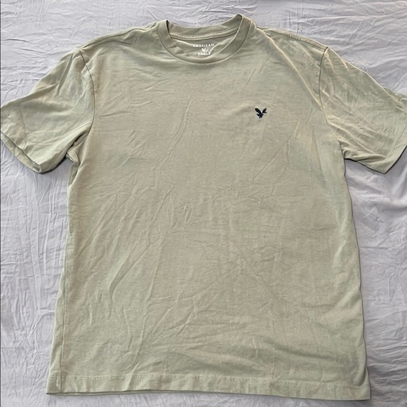 American Eagle Sage Green Super Soft Standard Fit T-Shirt - Picture 1 of 3